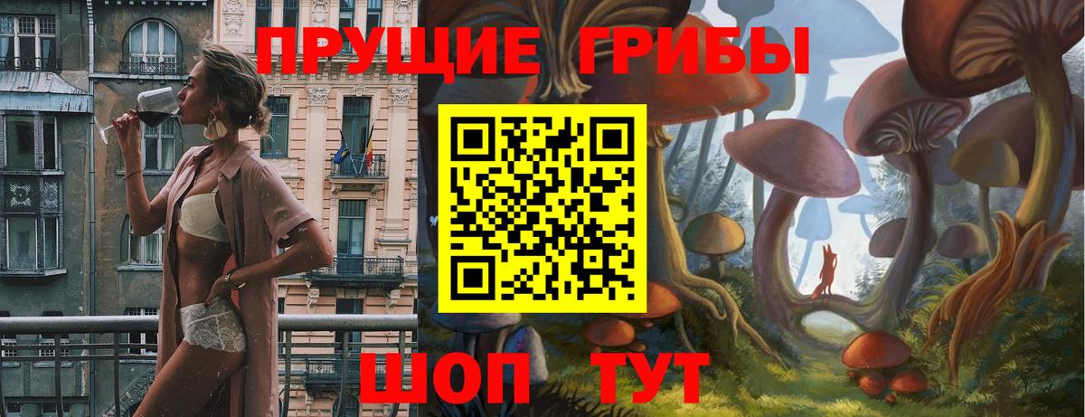 Псилоцибиновые грибы прущие грибы Зерноград