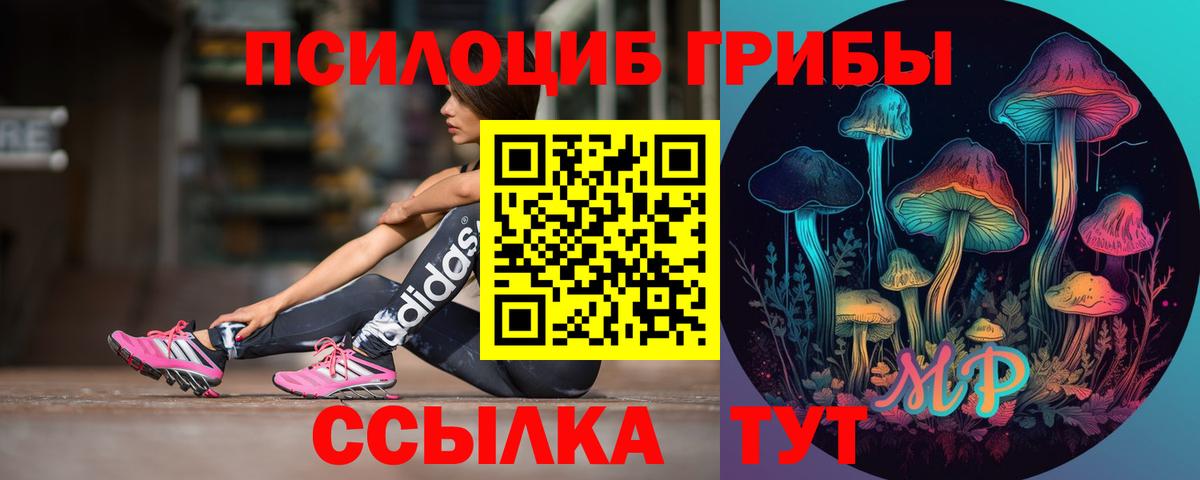 Псилоцибиновые грибы мухоморы  Вход с VPN  Зерноград 